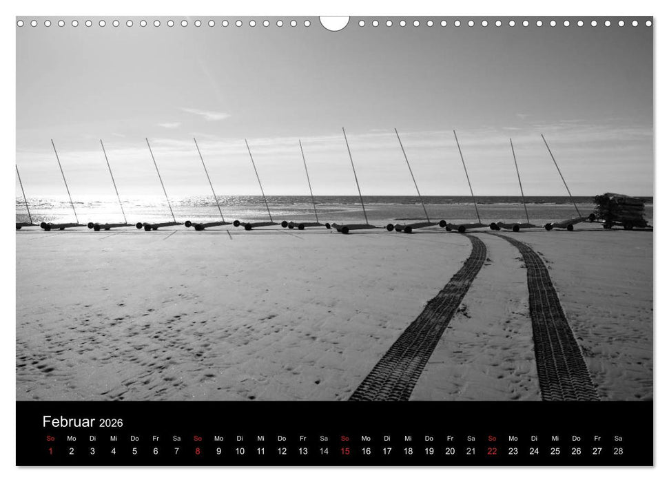 BLACK 'N WHITE (CALVENDO Wandkalender 2026)