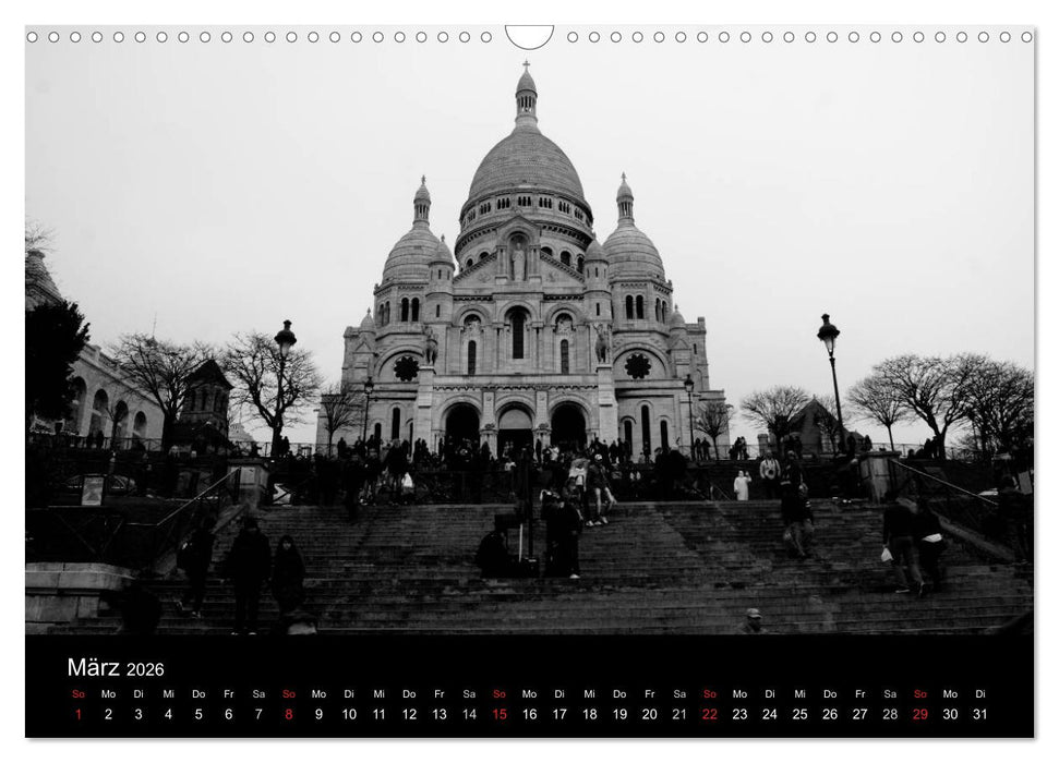 BLACK 'N WHITE (CALVENDO Wandkalender 2026)