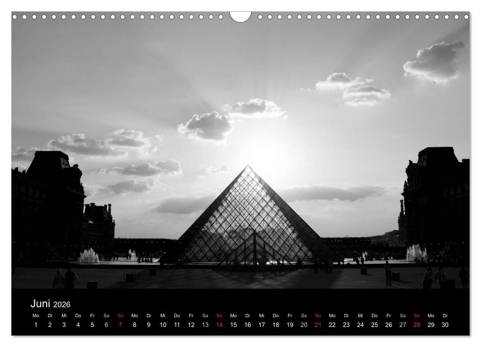 BLACK 'N WHITE (CALVENDO Wandkalender 2026)