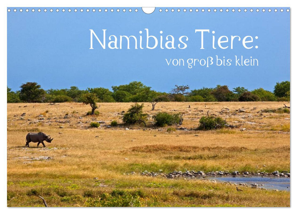 Namibias Tiere: von groß bis klein (CALVENDO Wandkalender 2026)