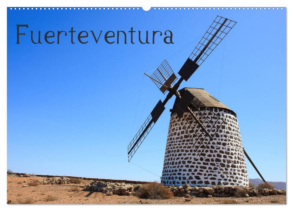 Fuerteventura (CALVENDO Wandkalender 2026)