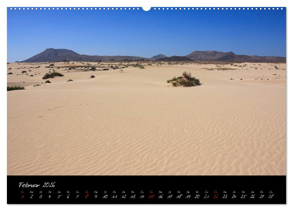Fuerteventura (CALVENDO Wandkalender 2026)