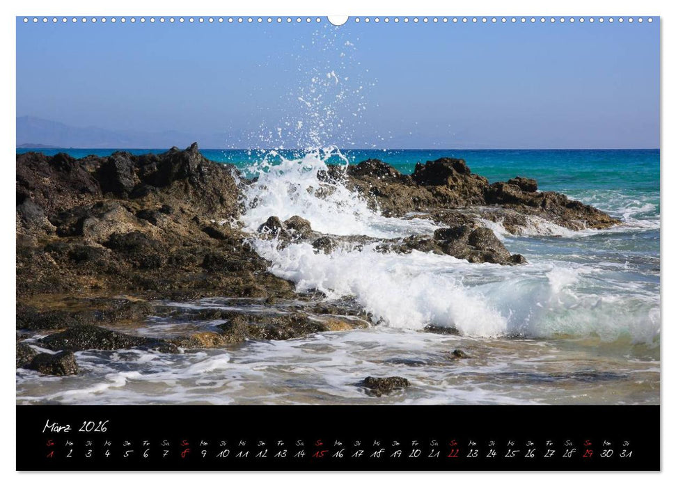 Fuerteventura (CALVENDO Wandkalender 2026)