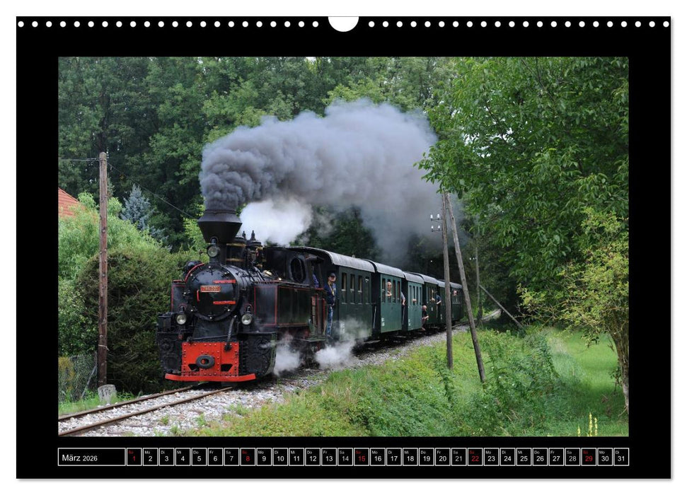 Eisenbahndampfromantik (CALVENDO Wandkalender 2026)