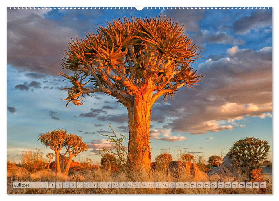 Südafrika Christian Heeb (CALVENDO Premium Wandkalender 2026)