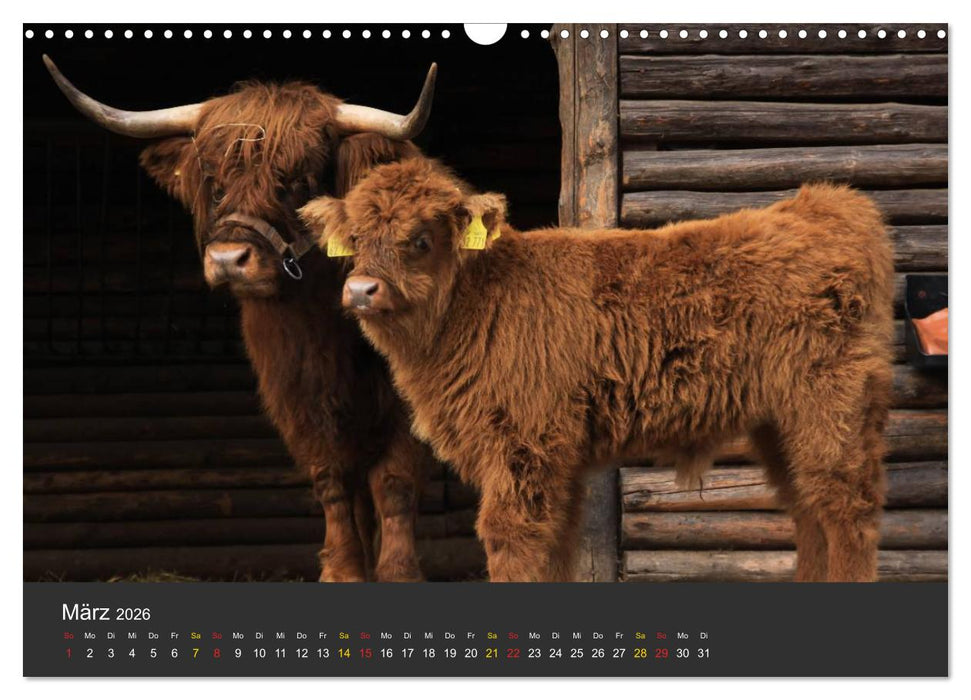 Tierpark-Gera (CALVENDO Wandkalender 2026)