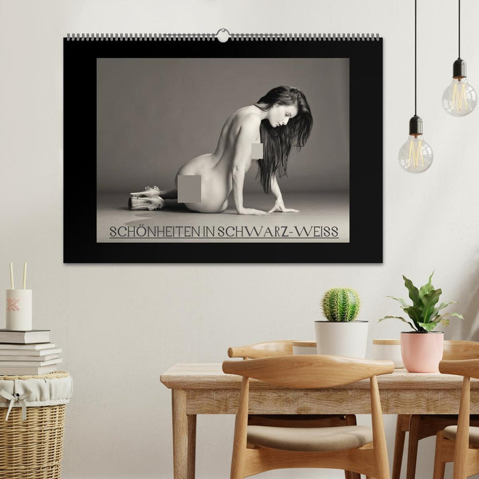 Schönheiten in schwarz-weiss (CALVENDO Wandkalender 2026)