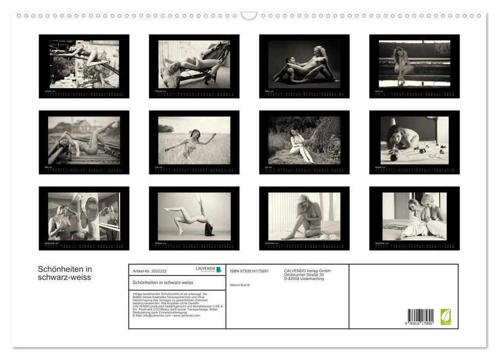 Schönheiten in schwarz-weiss (CALVENDO Wandkalender 2026)