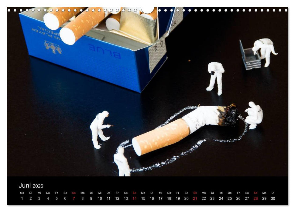 Die große Welt (CALVENDO Wandkalender 2026)