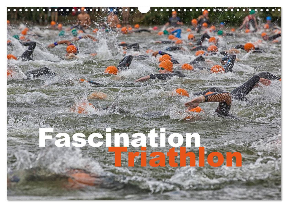 Fascination Triathlon (CALVENDO Wandkalender 2026)