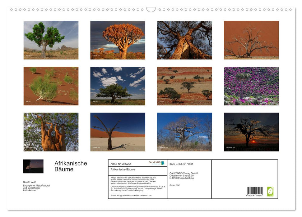 Afrikanische Bäume (CALVENDO Wandkalender 2026)
