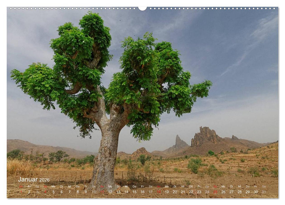 Afrikanische Bäume (CALVENDO Wandkalender 2026)