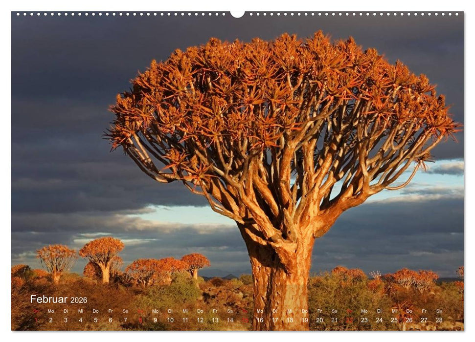Afrikanische Bäume (CALVENDO Wandkalender 2026)