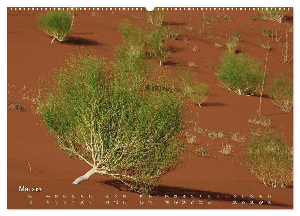 Afrikanische Bäume (CALVENDO Wandkalender 2026)
