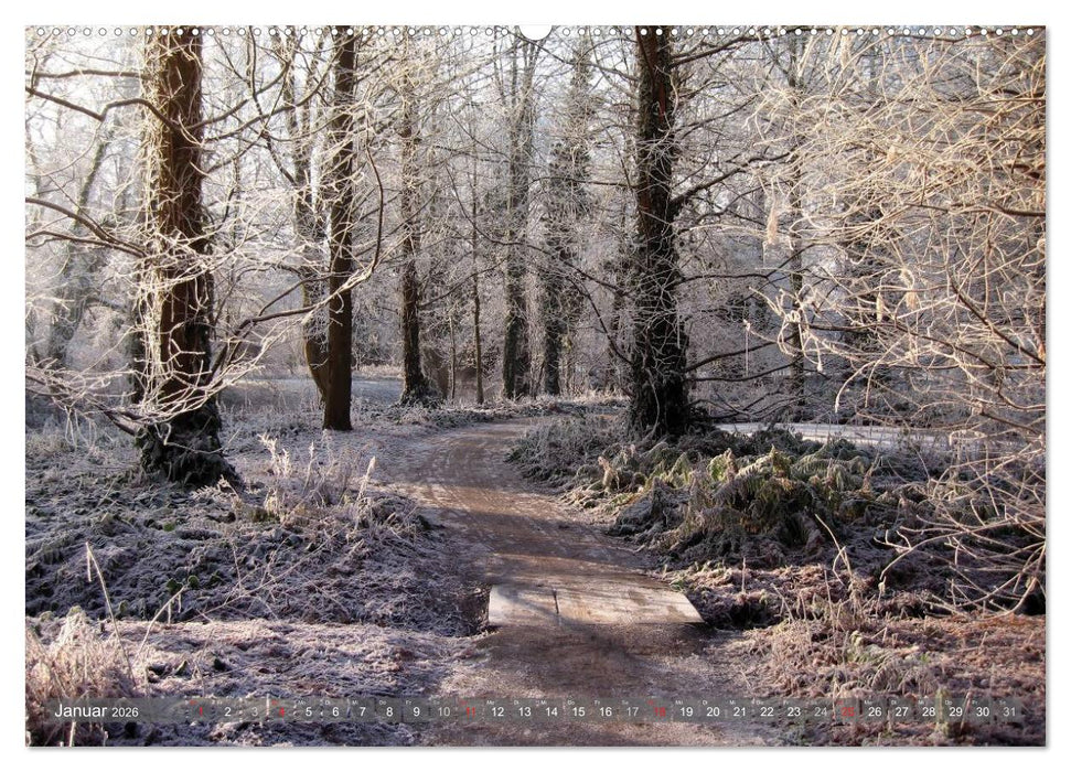 Impressionen aus Grevenbroich (CALVENDO Wandkalender 2026)