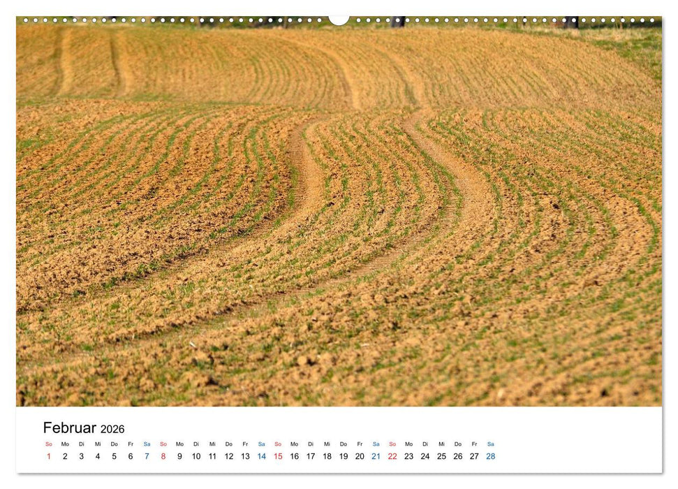 Felder und Wiesen (CALVENDO Wandkalender 2026)