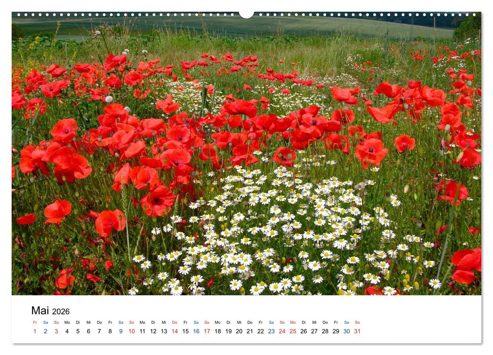 Felder und Wiesen (CALVENDO Wandkalender 2026)