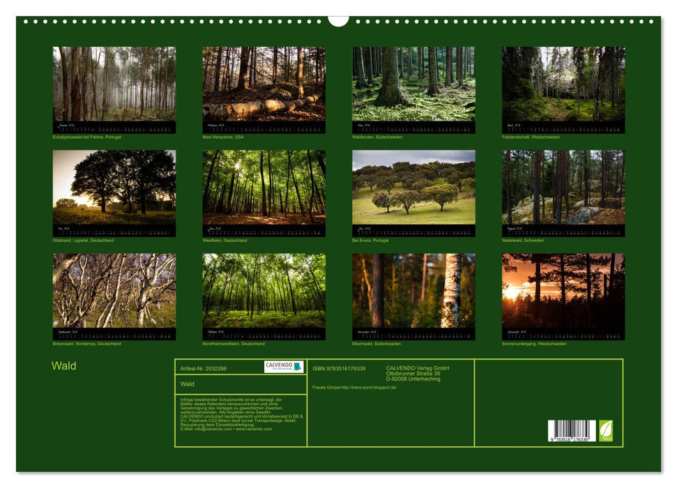 Wald (CALVENDO Wandkalender 2026)