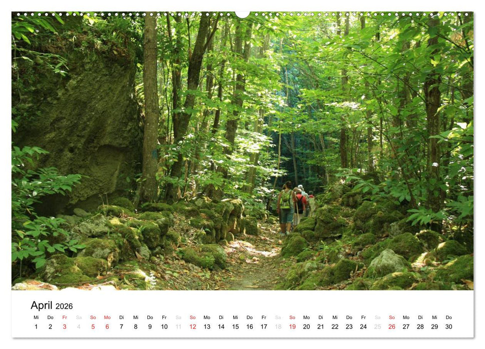 Ischia (CALVENDO Wandkalender 2026)