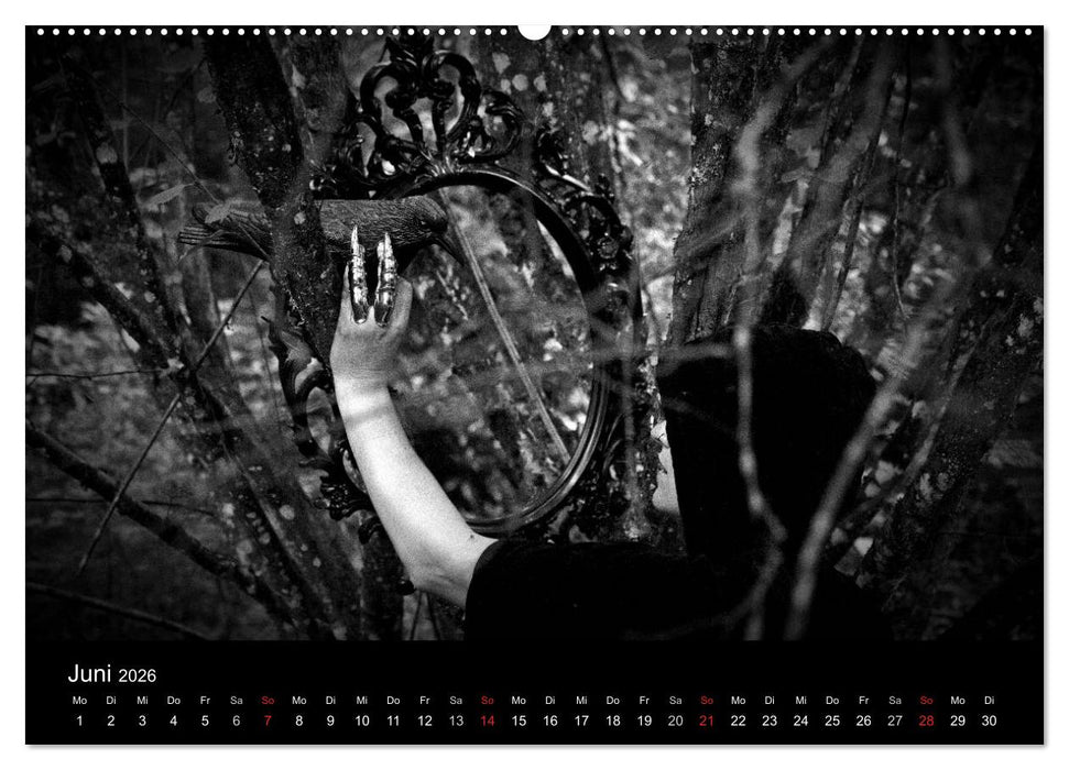 Hexen (CALVENDO Wandkalender 2026)