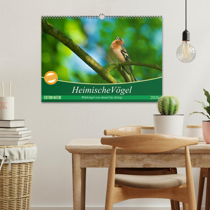 Heimische Vögel (CALVENDO Wandkalender 2026)