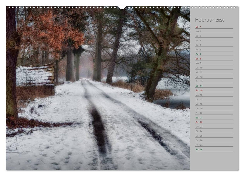 Planungskalender Märchenwald 2026 (CALVENDO Wandkalender 2026)