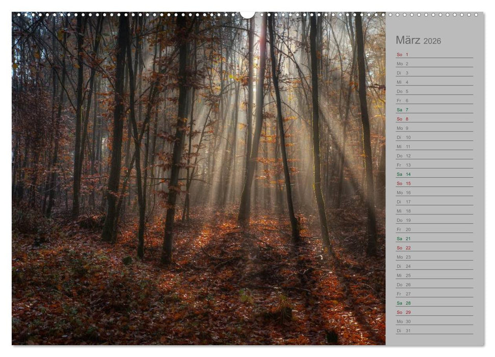 Planungskalender Märchenwald 2026 (CALVENDO Wandkalender 2026)