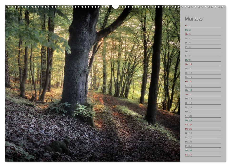 Planungskalender Märchenwald 2026 (CALVENDO Wandkalender 2026)