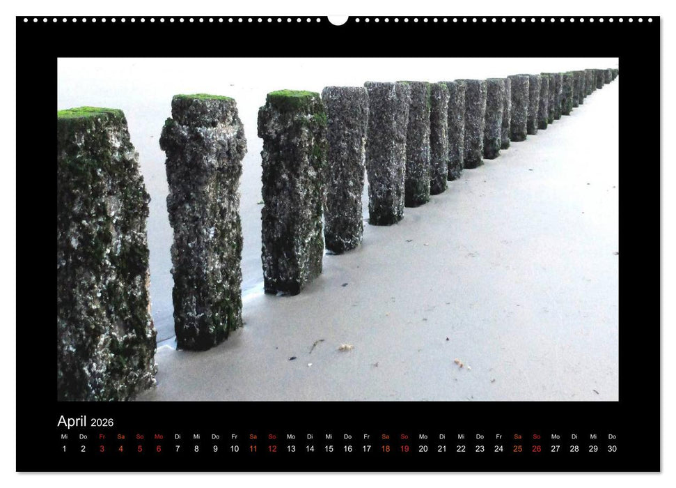An der Nordsee (CALVENDO Premium Wandkalender 2026)