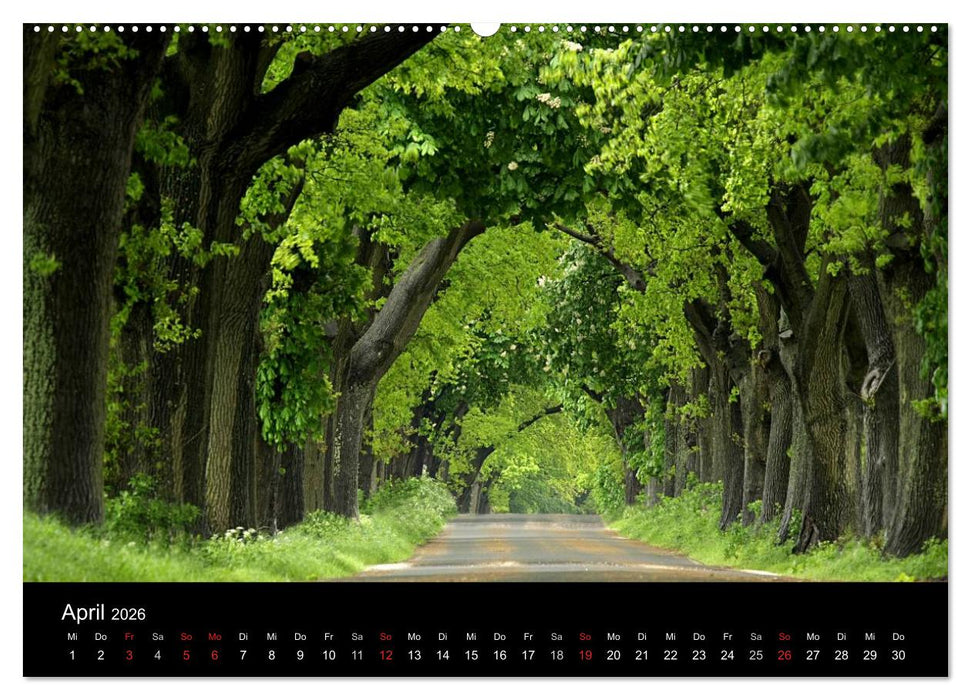 Traumhafte Ostseeküste (CALVENDO Premium Wandkalender 2026)