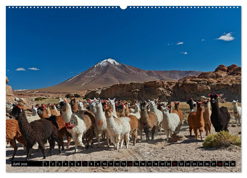 Bolivien Andenlandschaften "CH-Version" (CALVENDO Wandkalender 2026)