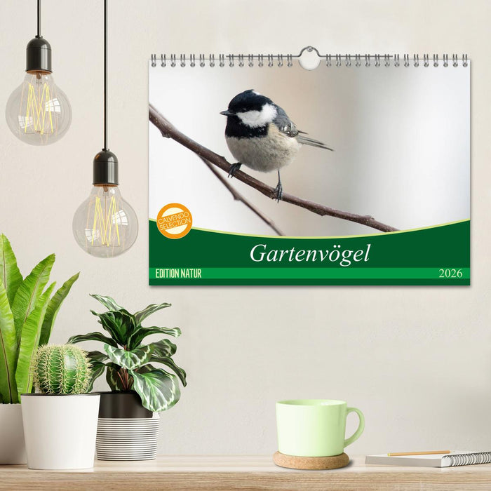 Gartenvögel (CALVENDO Wandkalender 2026)