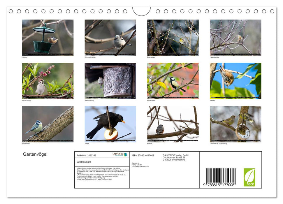 Gartenvögel (CALVENDO Wandkalender 2026)