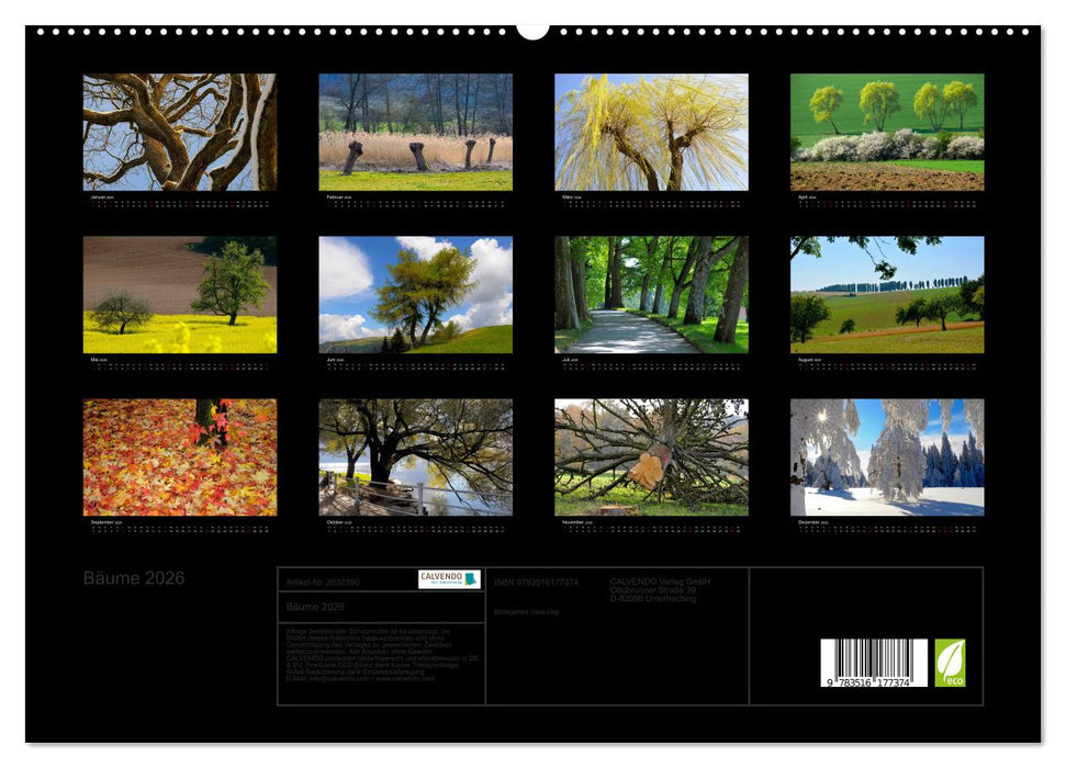 Bäume 2026 (CALVENDO Premium Wandkalender 2026)