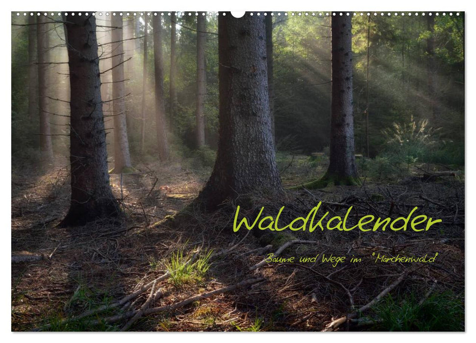 Waldkalender (CALVENDO Wandkalender 2026)