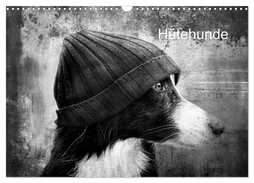 Hütehunde (CALVENDO Wandkalender 2026)