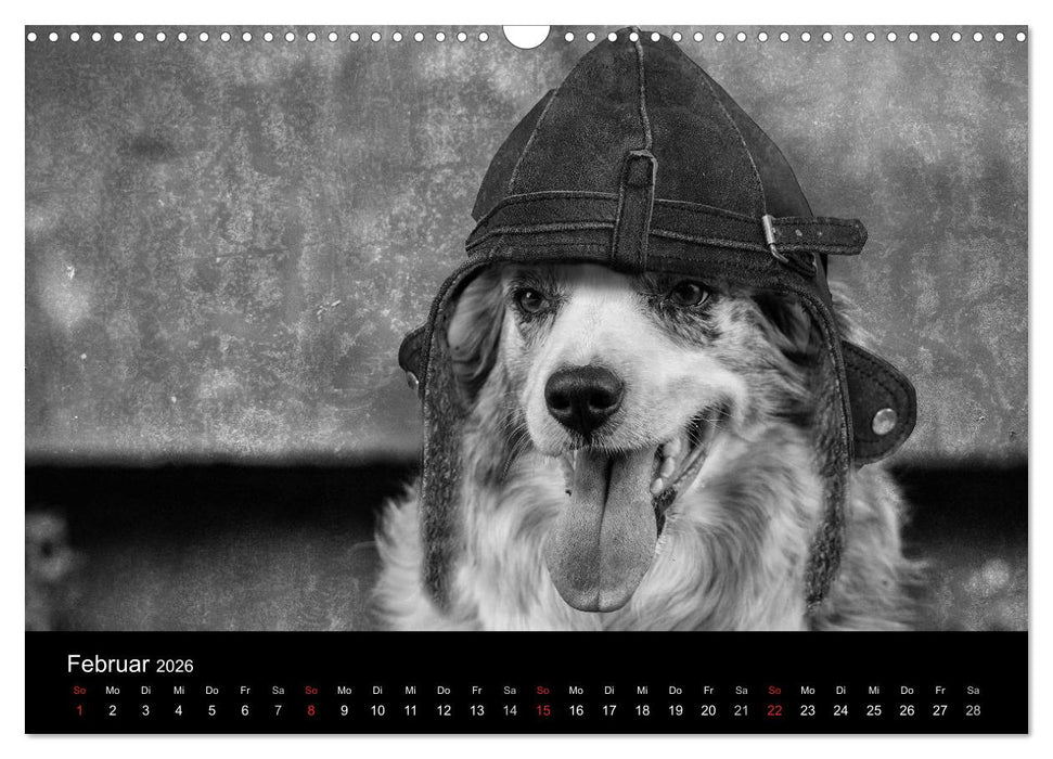 Hütehunde (CALVENDO Wandkalender 2026)