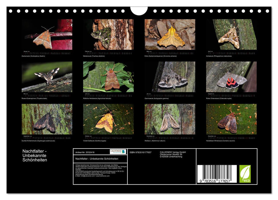 Nachtfalter - Unbekannte Schönheiten (CALVENDO Wandkalender 2026)