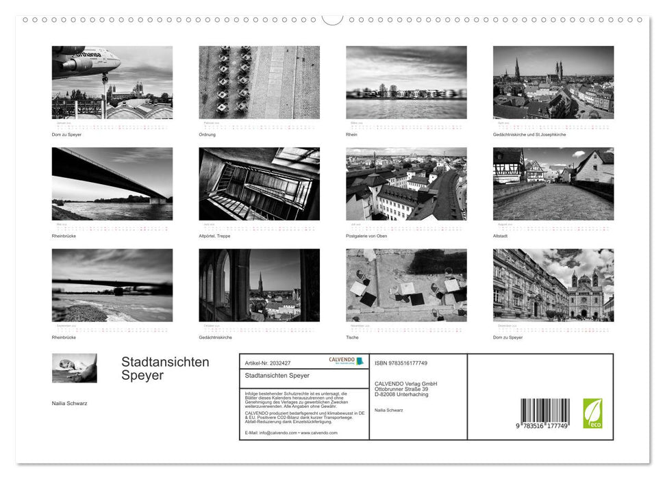 Stadtansichten Speyer (CALVENDO Premium Wandkalender 2026)