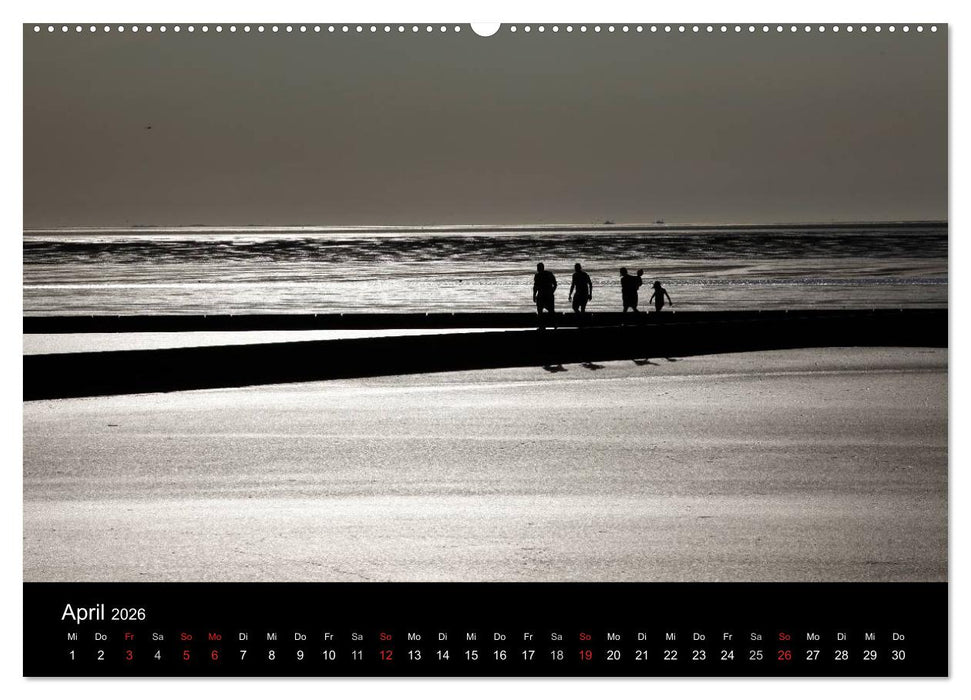 Wattenmeer (CALVENDO Premium Wandkalender 2026)