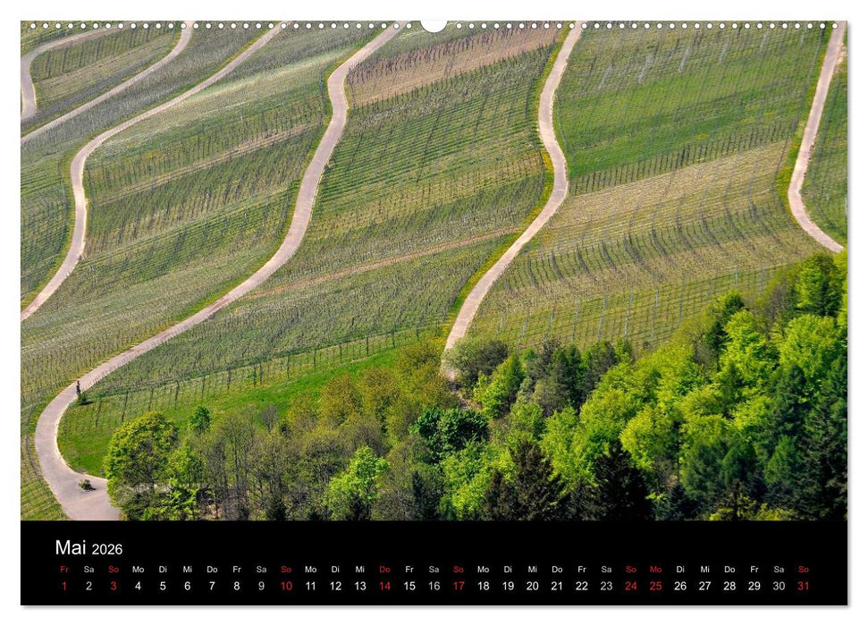 Wege 2026 (CALVENDO Premium Wandkalender 2026)