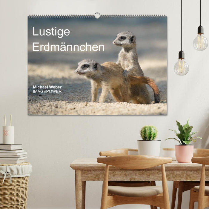 Lustige Erdmännchen (CALVENDO Wandkalender 2026)