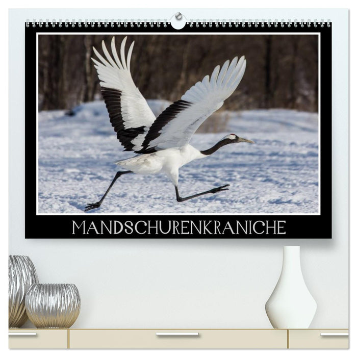 Mandschurenkraniche (CALVENDO Premium Wandkalender 2026)