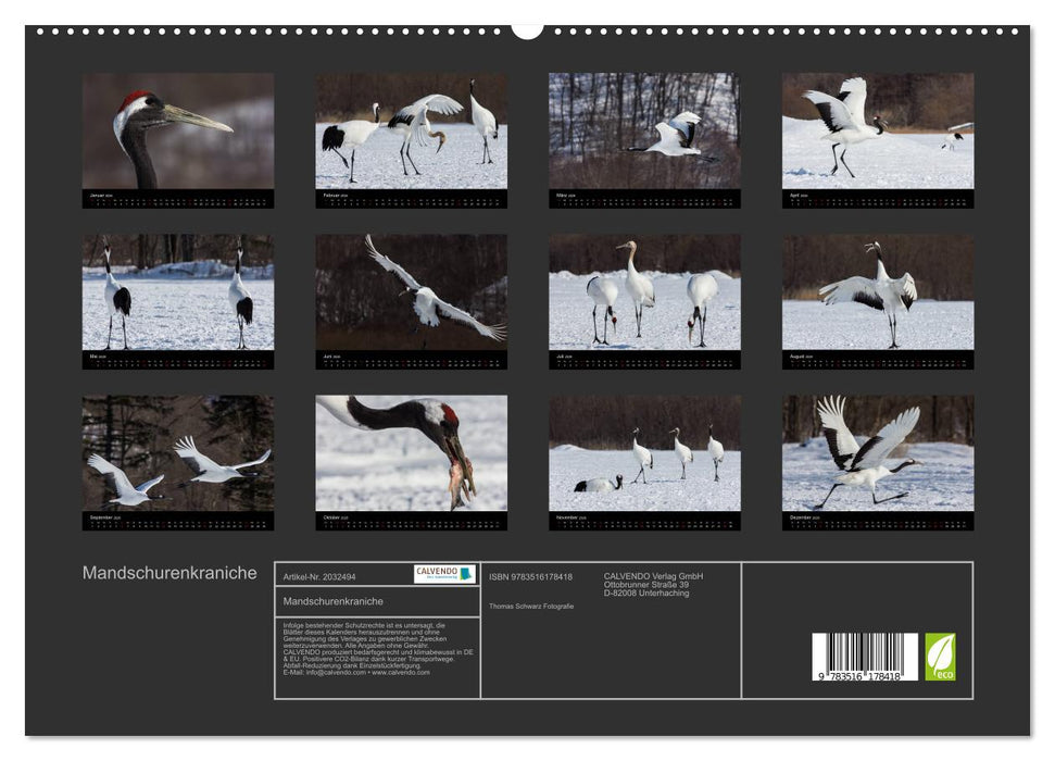 Mandschurenkraniche (CALVENDO Premium Wandkalender 2026)