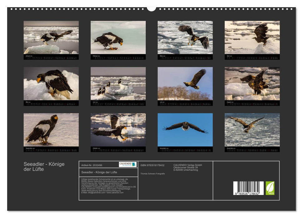 Seeadler - Könige der Lüfte (CALVENDO Premium Wandkalender 2026)