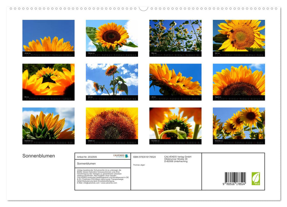 Sonnenblumen (CALVENDO Premium Wandkalender 2026)