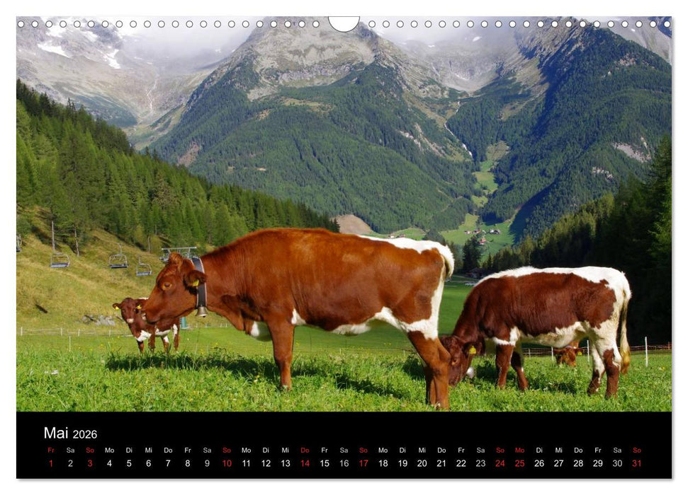 Südtirol 2026 (CALVENDO Wandkalender 2026)