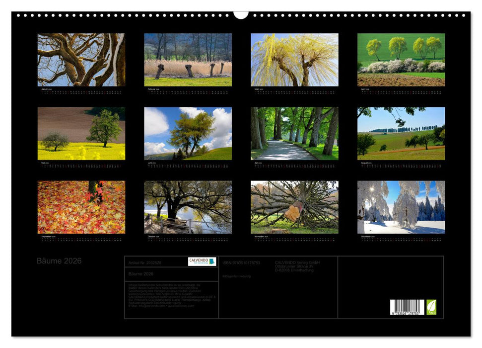 Bäume 2026 (CALVENDO Wandkalender 2026)