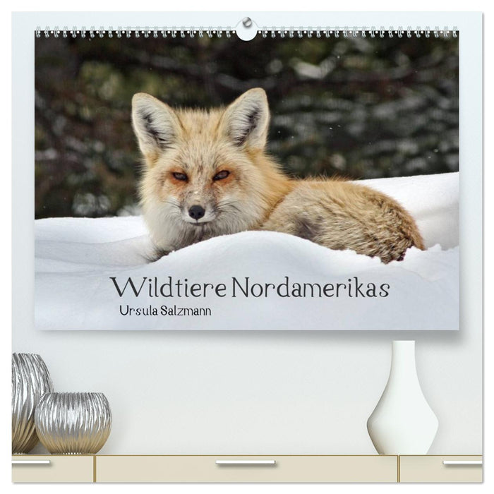 Wildtiere Nordamerikas (CALVENDO Premium Wandkalender 2026)