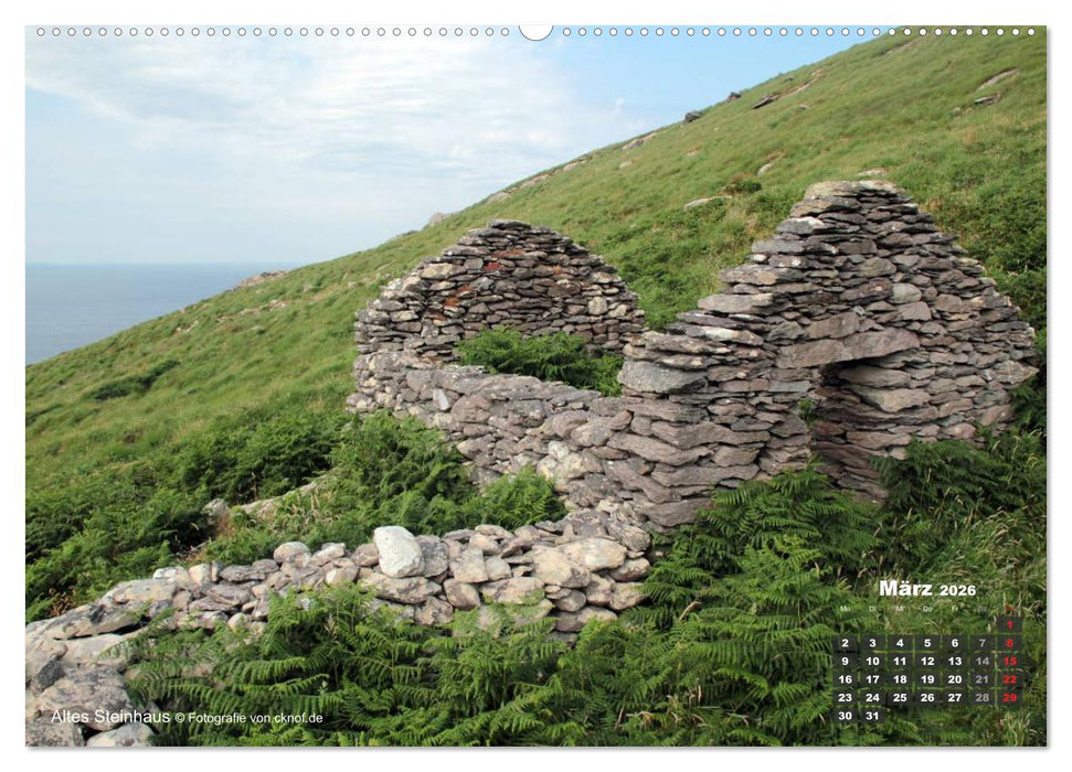 Irland (CALVENDO Premium Wandkalender 2026)